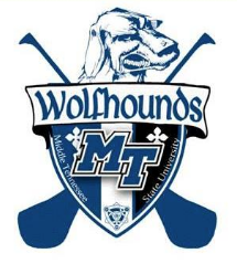Middle Tennessee State University Hurling Club