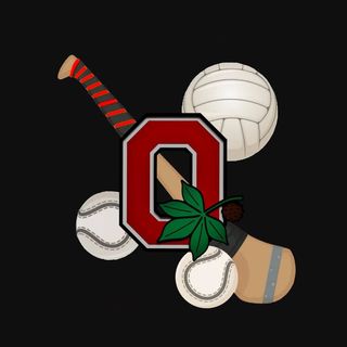 The Ohio State University Hurling Club is dedicated to spreading the sports, specifically hurling, across campus.